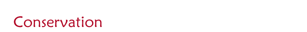 Conservation